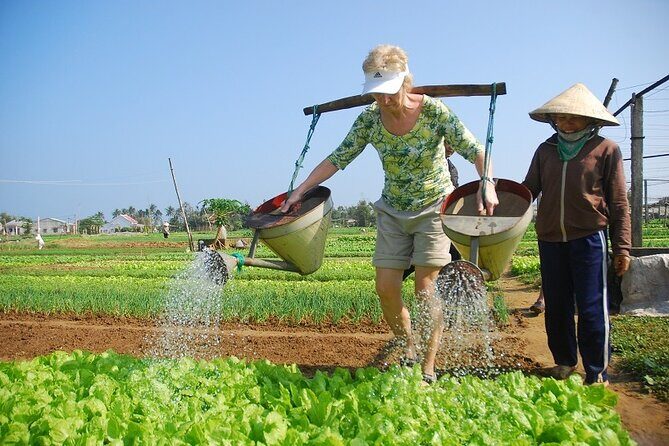 3 Hours Hoi An Countryside Bicycle Tour - Quiet countryside roads: how this 3-hour ride beats a city-only tour
