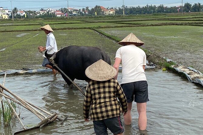 5-Hour Discovery Countryside by Cycling, Buffalo and Basket Boat - Fishing experience in the palms: catching fish and purple crabs