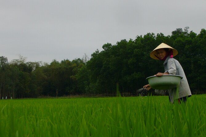 Adventure Bike Tour from Hoi An - Hoi An to My Son: what makes this ride feel local