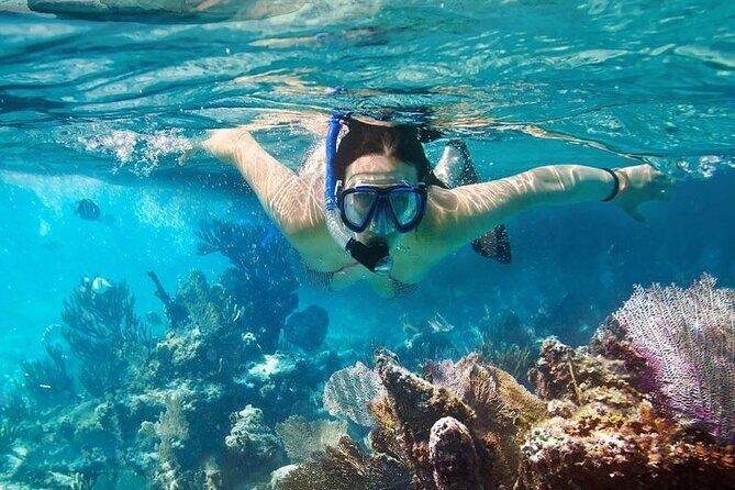 Cham Island Tour Snorkeling -Sunbathing - Nice Beach - Speedboat - Price and value: $39 covers the stuff that usually costs extra