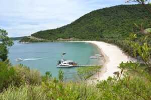 Cham Island Trip by Speed Boat including Snorkeling from Hoi An or Da Nang - The Cham Island market stop: why 10 minutes can help