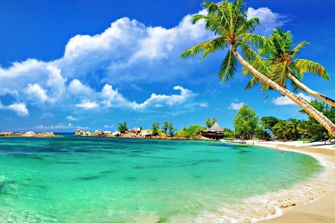 Cham Island Trip by Speed Boat including Snorkeling from Hoi An or Da Nang - Price and logistics: does $44.88 feel fair?