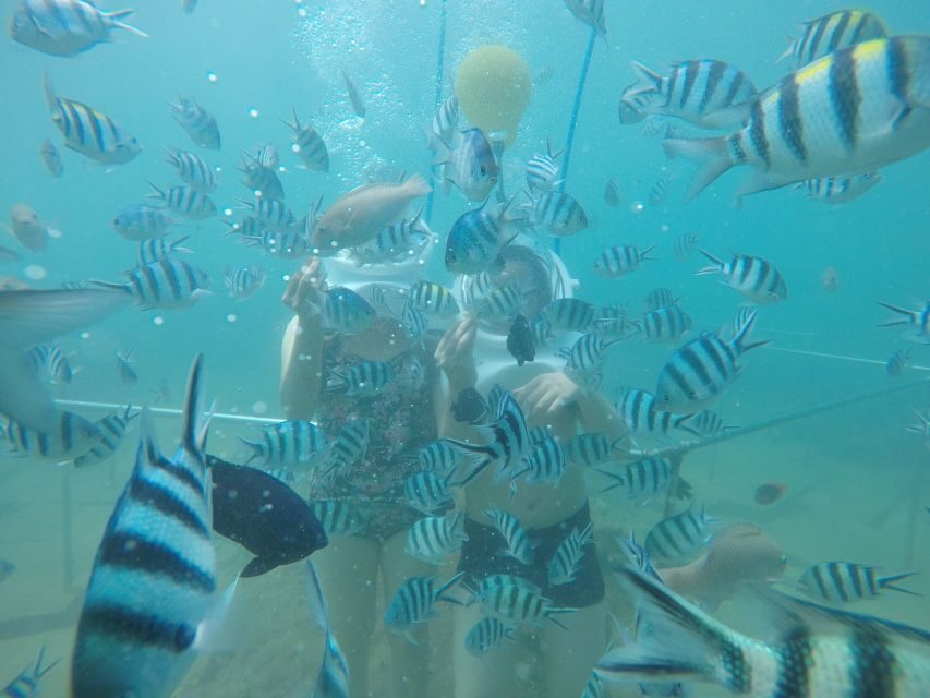 Cham Island: Underwater Walking & Snorkeling Tour - Why Cham Island works so well for first-timers