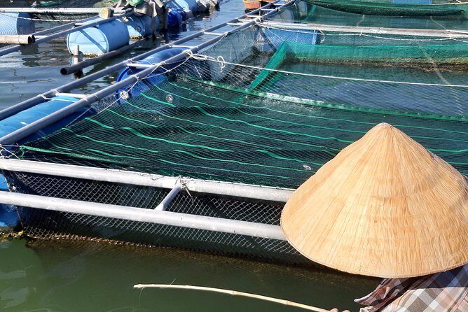 Coconut Basket Boat Trip - A Must - Do Experience in Hoi An! - Price and Value: Why About $6 Makes Sense Here