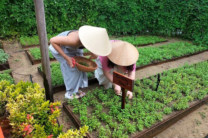 Cooking Class Hoi An - Organic Garden - Farming Tour-Handicrafts - Folk games and the “local life” feel you won’t get elsewhere