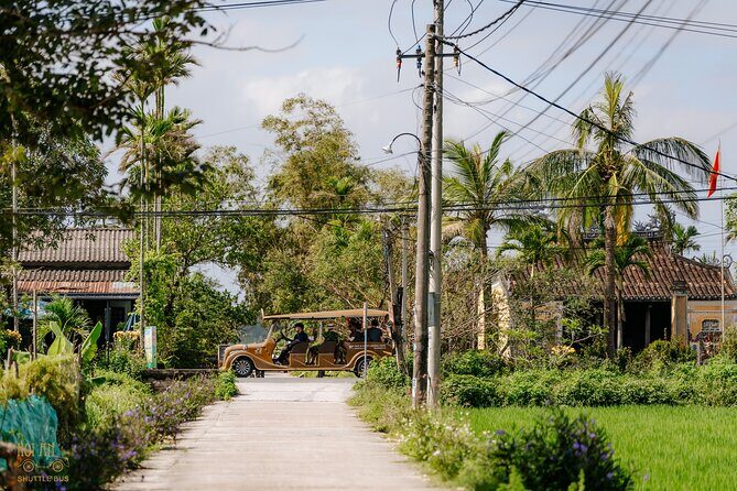 Countryside Adventure Private Tour by Electric Car - Wet rice farming views: where the countryside feels real