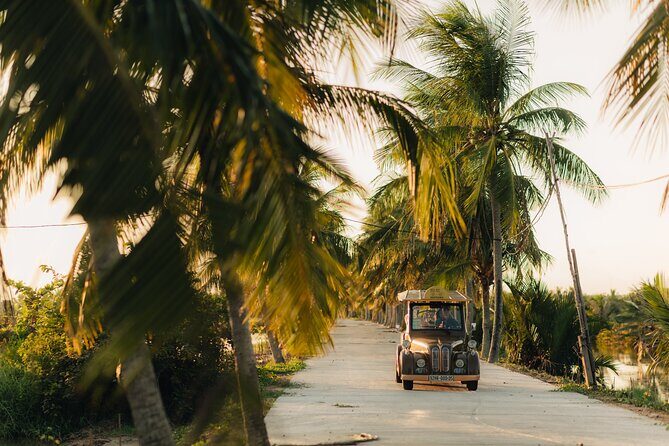 Countryside Adventure Private Tour by Electric Car - Off-the-road coconut forest and mangroves: calm scenes, strong contrast