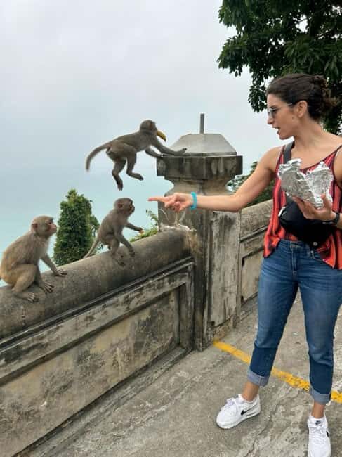 Da Nang City Side - My Son Sanctuary Small Group Tour - Price and Value: Is $50 a Fair Deal for This Route?