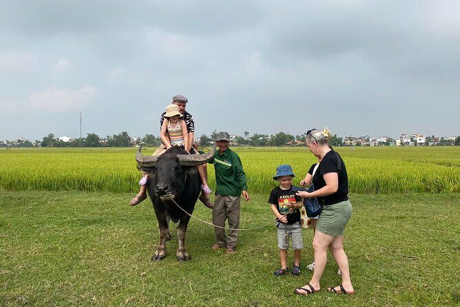 Da Nang City Tour, Marble Mountain, Coconut Boat, Hoi An Old Town - Bay Mau Coconut Forest: the basket boat ride in nipa palms