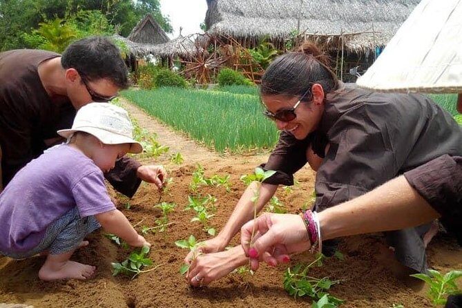 Farming with the Local Famers - Price and logistics: what you’re paying for and why it’s fair