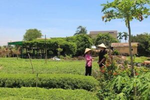 Farming with the Local Famers - Seaweed to fertilizer: the hands-on farming session