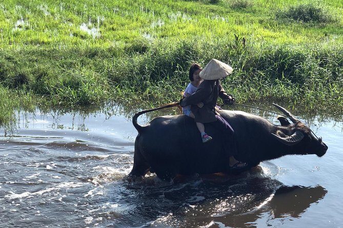 From AUTHENTIC FARMER'S LIFE to ECO RIVER FISHING EXPERIENCE - Tra Que Vegetable Village: Herbs, Japanese Tombs, and Working Gardens