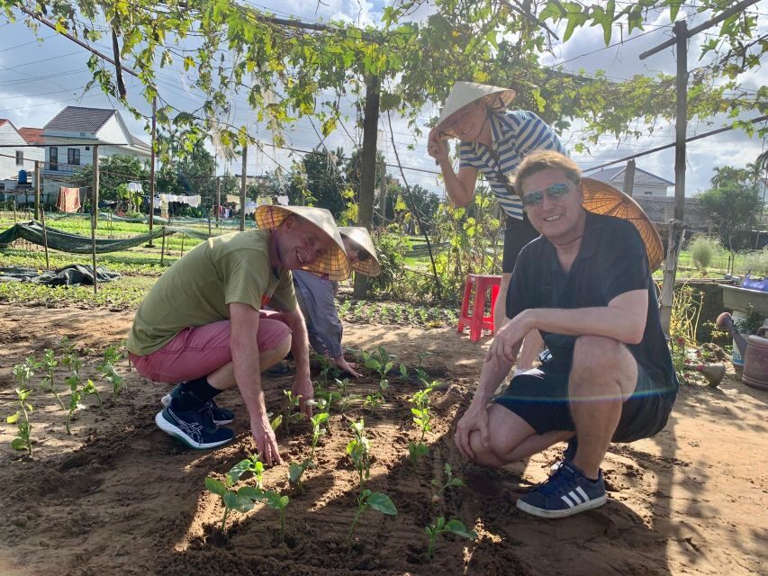 From Hoi An: Cooking Class at Organic Farm - Who this 3-hour class suits best in Hoi An
