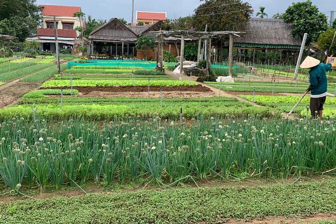 Full Experience Tour: Cooking Class & Basket Boat at Eco-Village - The Cooking Class: Learn, Then Eat What You Made
