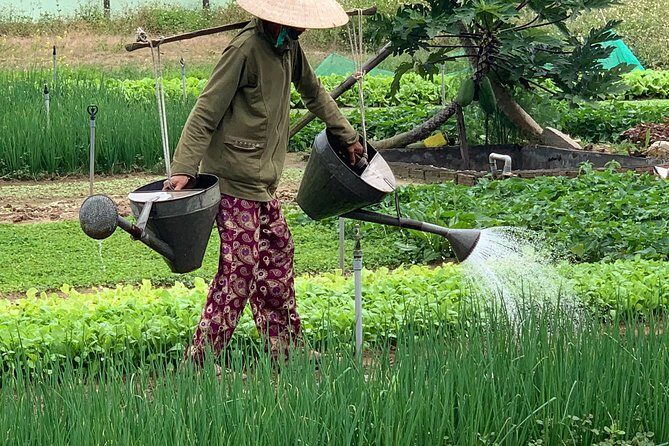 Full Experience Tour: Cooking Class & Basket Boat at Eco-Village - Welcome Drinks and the Hoang Family Touch