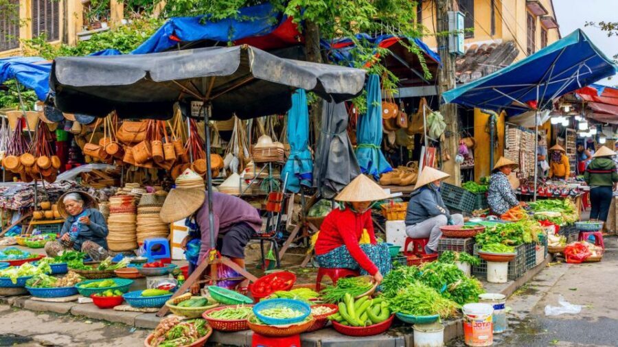 Hoi An: Authentic Cooking class in organic Herb Village - Key Things You Should Notice