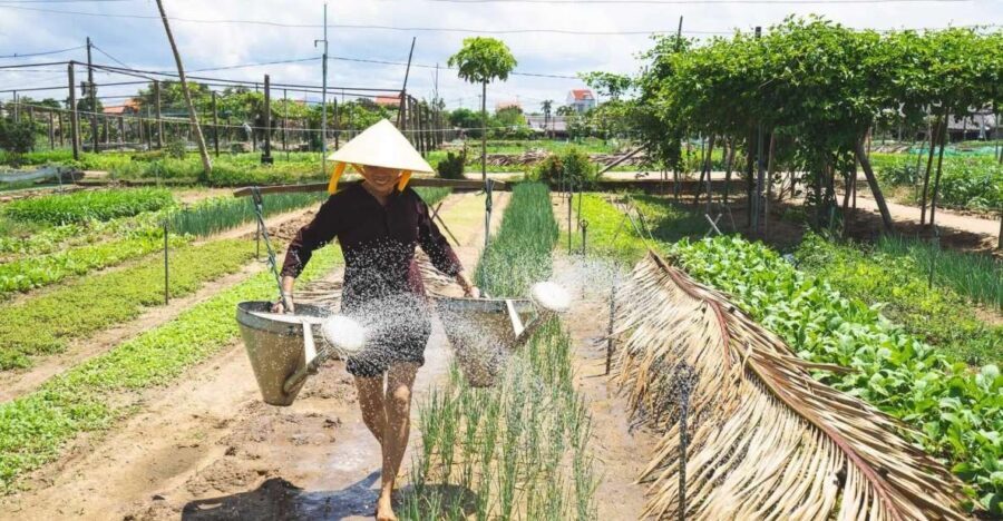 Hoi An: Authentic Cooking class in organic Herb Village - Hoi An Market Stop: Learn the Ingredients Before You Cook
