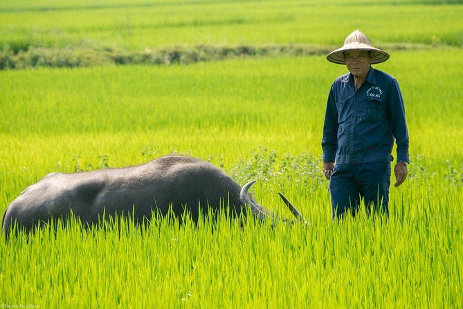 HOI AN Biking River Islands, Villages, Local Crafts PRIVATE TOUR - Should You Book This Hoi An Biking River Islands Tour?