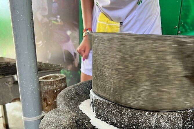 Hoi An cooking class with Basket Boat Tour - How good is the food lesson, really?