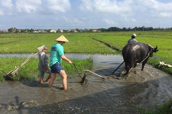 Hoi An Countrylife Tour Experience & Vietnamese Set Menu - Key things worth knowing before you go