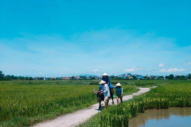 Hoi An Countryside - Buffalo Riding - Basket Boat Rowing - Price and value at $39 for a private activity-packed half day