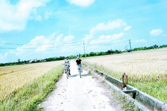 Hoi An countryside cycling tour - Bay Mau coconut forest: the basket boat part that steals the show