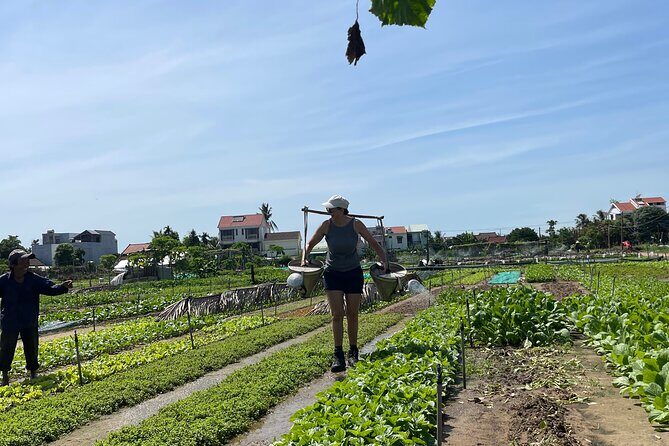 Hoi An countryside cycling Tour,Basket Boat-organic farming-lunch - Price and logistics: what $37 buys you in a half day
