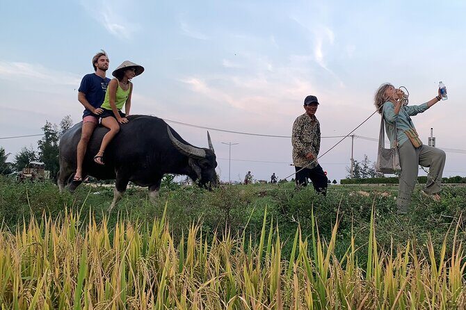 Hoi An Countryside PRIVATE TOUR - Highlights and Hidden Gems - Cam Chau Buffalo Fields: A Short Ride With Big Open-Air Payoff