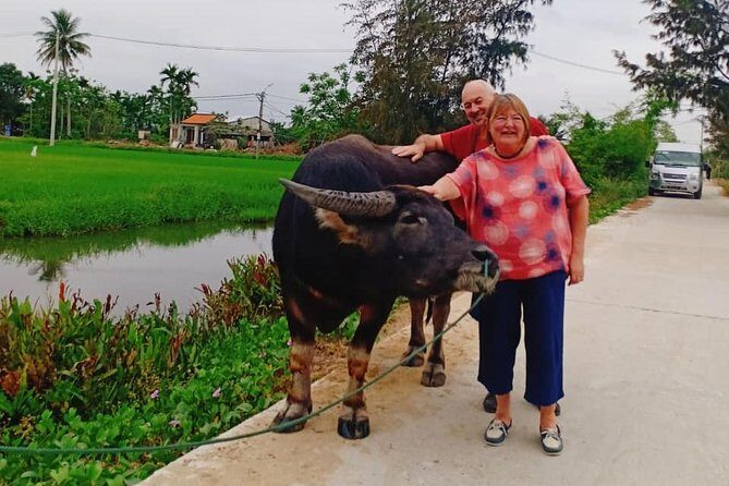 Hoi An Countryside Tour with Bamboo Basket Boat Rowing , Buffalo Ride, Farming - Pickup timing and how to plan your half-day