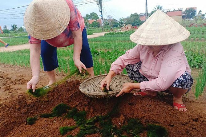 Hoi An Countryside Tour with Bamboo Basket Boat Rowing , Buffalo Ride, Farming - Bay Mau coconut forest: bamboo basket boat rowing and crab fishing