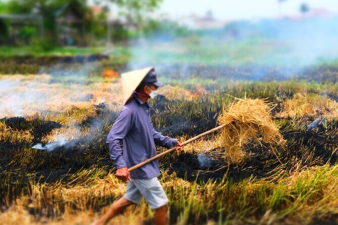 Hoi An Countryside Vespa Tour: Food, Culture & Daily Life - Duy Vinh and the Whale Temple: legends tied to everyday work