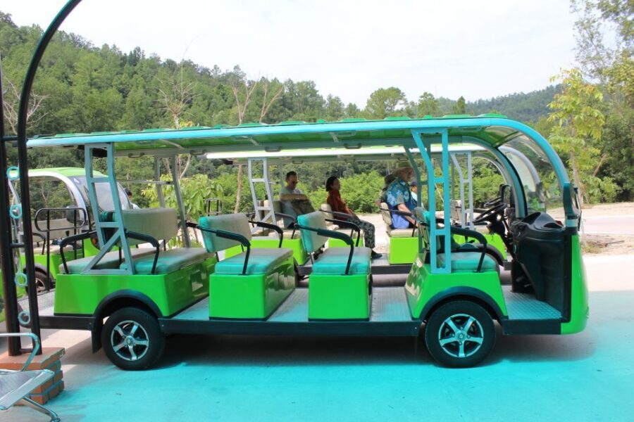 Hoi An/Da Nang: My Son Afternoon tour: Banh my and Cruise - Key highlights worth your time
