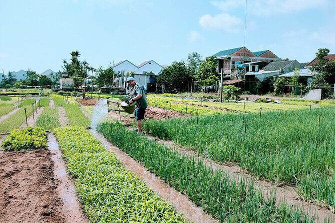 Hoi An Eco-Biking Tour - Lunch or dinner with a local family: why it’s more than a meal
