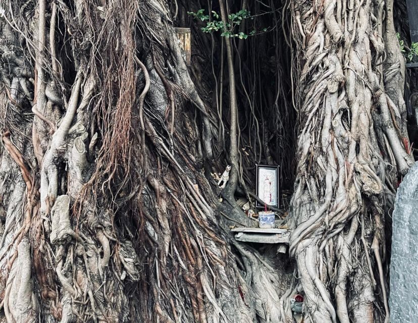 Hoi An Ghosts, Death, Mystery Unveiled - Rain or shine, but keep your feet comfortable