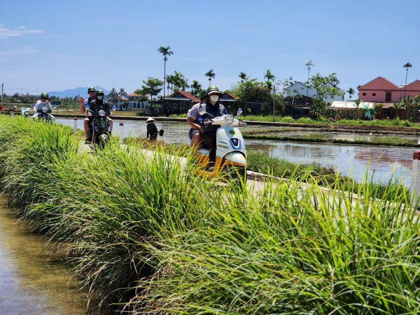 Hoi An Highlights and Hidden Gems Tour by Vespa - Bamboo basket boat in the coconut forest: the experience part you can’t copy