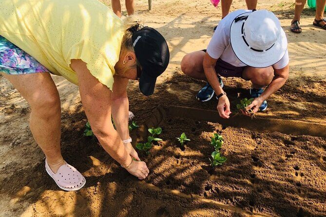 Hoi An Local Market and Vegetable Village Cooking Class - Stop 1: The Hoi An Market Run (Where Flavors Start)