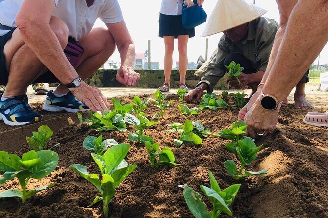 Hoi An Local Market and Vegetable Village Cooking Class - Stop 2: Tra Que Vegetable Village and the Herb-Eating Lesson