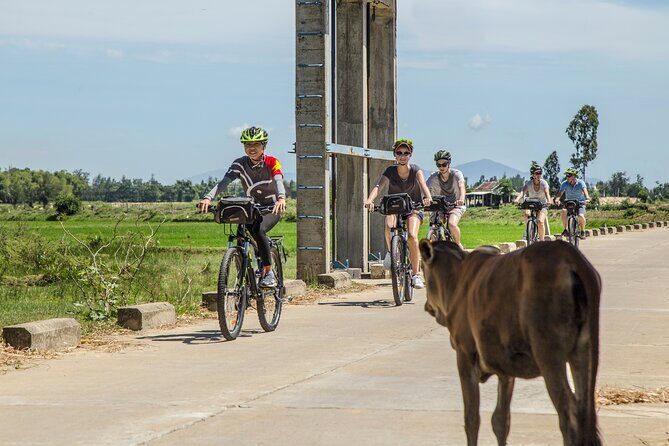 Hoi An: Morning Countryside Tour by Bike - Key highlights worth getting excited about