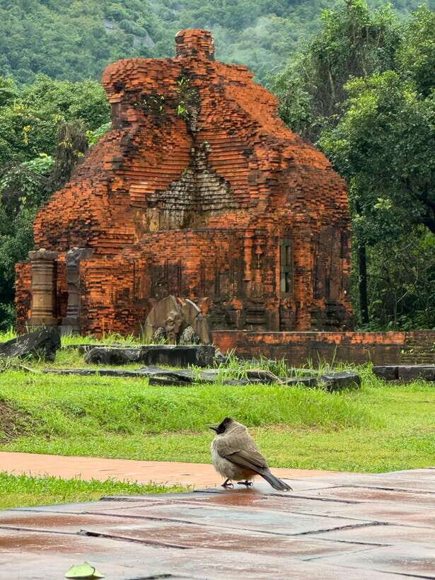Hoi An: My Son Sanctuary Private Tour with Local Guide - Champa history and the war context you can’t skip