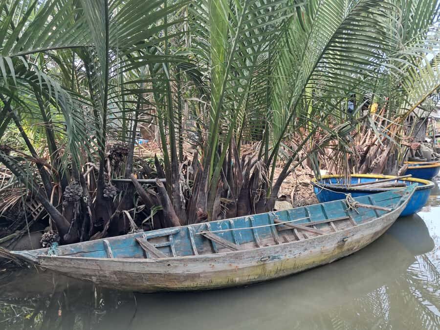 Hoi An: My Son Sanctuary with Basket Boat and Lunch Options - Who This Tour Fits Best (and Who Should Rethink It)