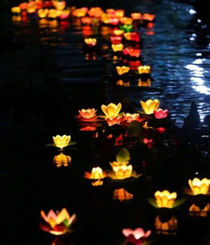 Hoi An: Private night boat Trip & release lantern on river - Why a Private Hoai River Lantern Ride Feels Different at Night