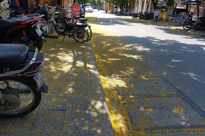 Hoi An town private walking tour with boat trip - Mot Herbal Tea and the Japanese Covered Bridge in One Flow