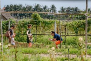 HoiAnGO Experience Local Life: Countryside by Electric Car - Ba Le Market: Fast Lessons in What People Really Buy