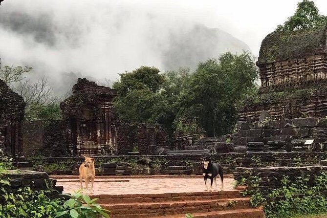 My Son Sanctuary Sunrise Private Tour - Price and Value: Is $55 Fair for a Private Sunrise?