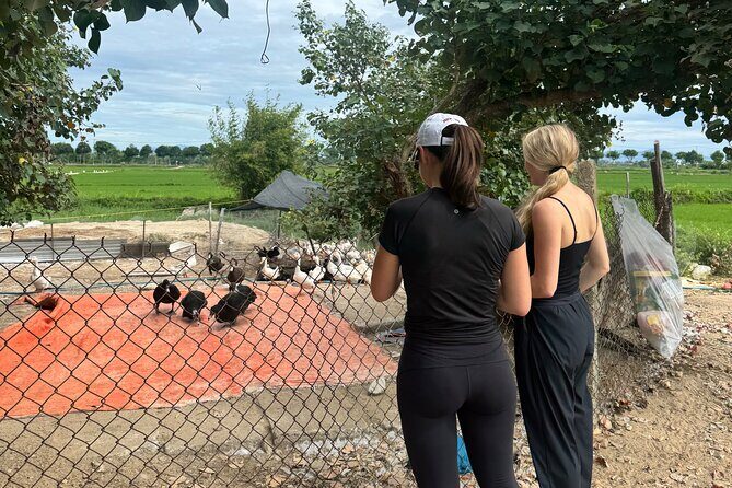 Private Half-Day Hoi An Tour for Families, Couples & Small Groups - Guides make or break the day: what to look for