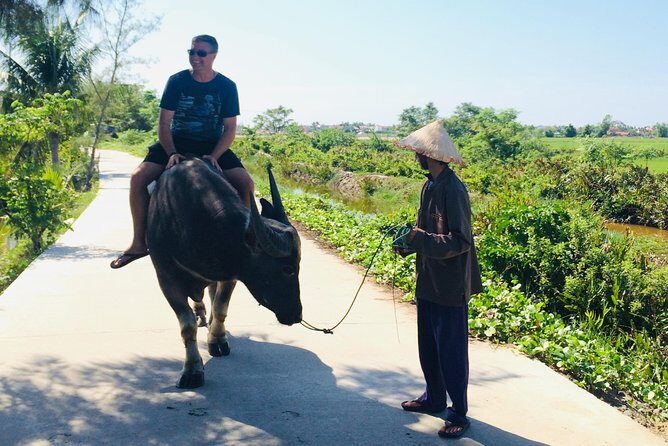 Riding Water Buffalo and Basket Boat Hoi An Private Bike Tour - Water Buffalo Time: Why This Moment Matters (and What to Watch For)