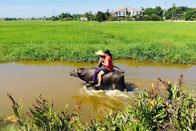 Riding Water Buffalo and Basket Boat Hoi An Private Bike Tour - Meeting Tom and Getting Bikes at the Starting Point