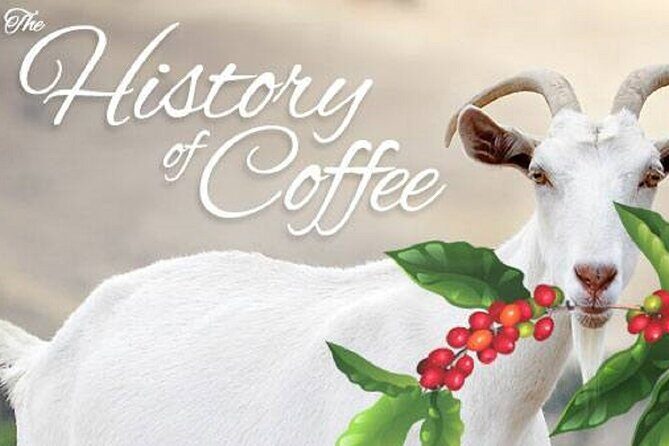 Vietnamese Culture and Coffee Making Class - The Five Cups You’ll Make (and Why They Matter)